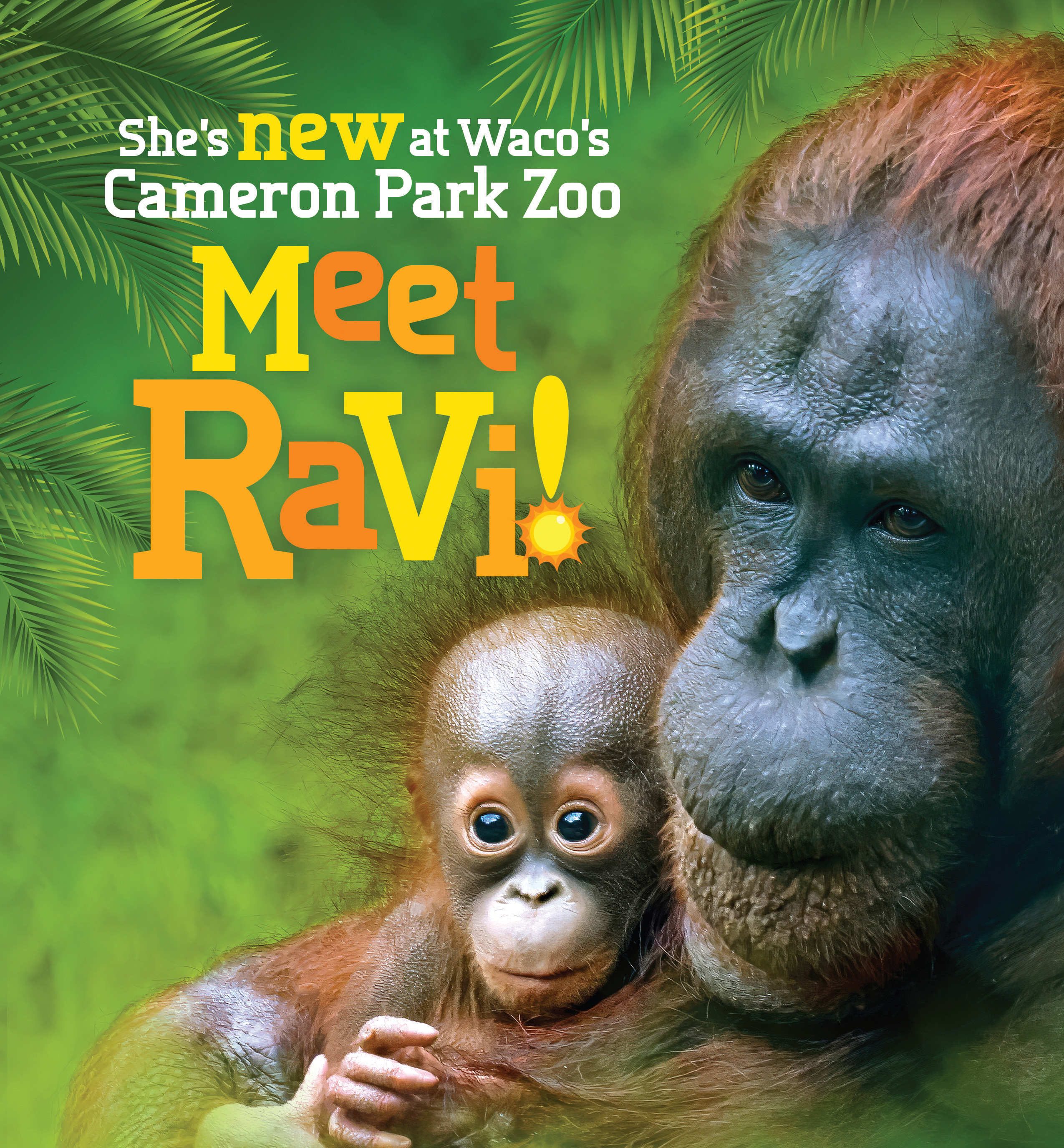 Mei and Ravi
